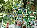 DSCN1211.JPG