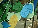DSCN1212.JPG